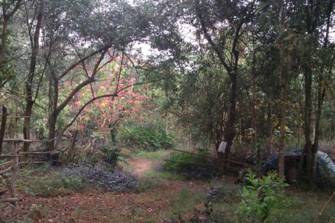 ภาพหน้าสวน