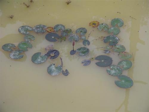 DSC02653 (Small).JPG