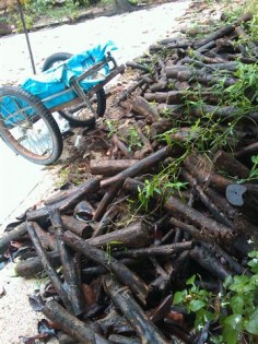 IMAG_2439 (Small)_2.jpg