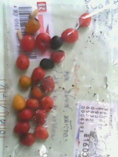 หลังจากแกะซองมา