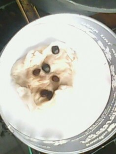 ลงมือเพาะแบบไม่ใช้ดิน