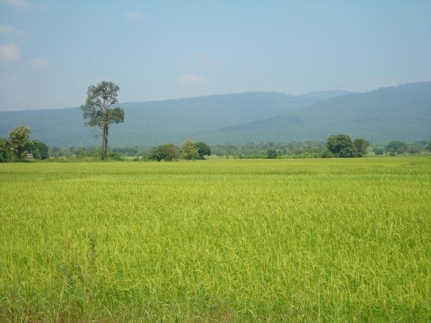 ผลการค้นหารูปภาพสำหรับ ชัยภูมิ ภาพสวยๆ